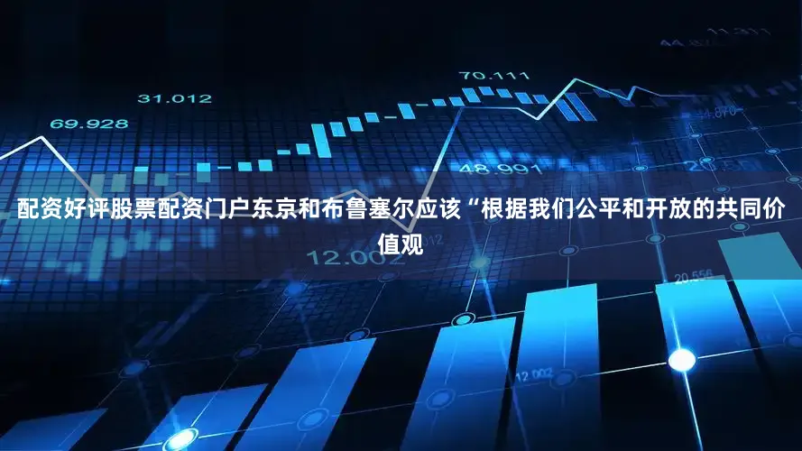 配资好评股票配资门户东京和布鲁塞尔应该“根据我们公平和开放的共同价值观