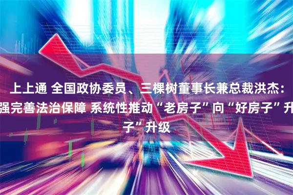 上上通 全国政协委员、三棵树董事长兼总裁洪杰：加强完善法治保障 系统性推动“老房子”向“好房子”升级