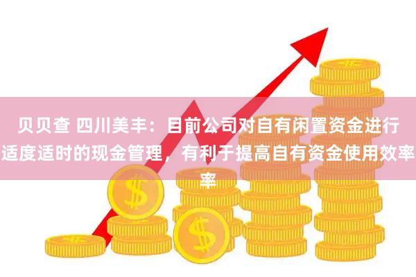 贝贝查 四川美丰：目前公司对自有闲置资金进行适度适时的现金管理，有利于提高自有资金使用效率
