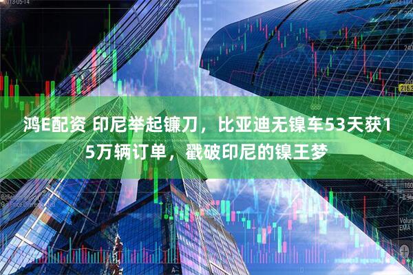 鸿E配资 印尼举起镰刀,比亚迪无镍车53天获15万辆订单,戳破印尼的镍王梦
